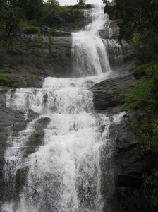 Munnar Tour